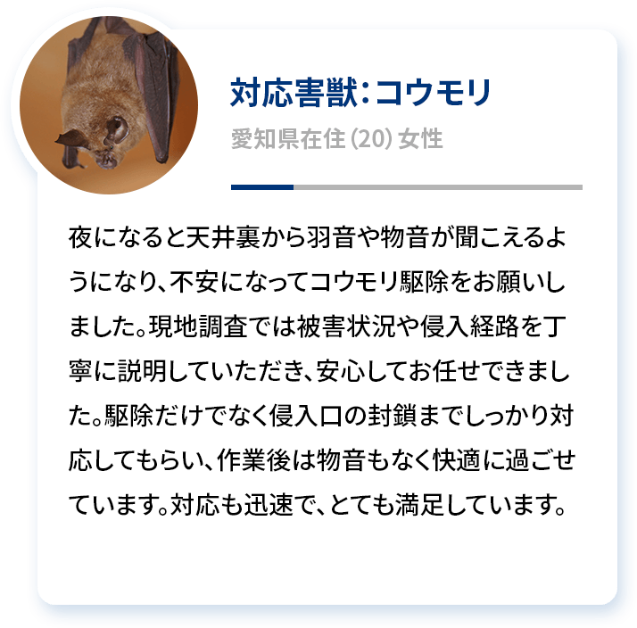 対応害獣：コウモリ 愛知県在住（20）女性