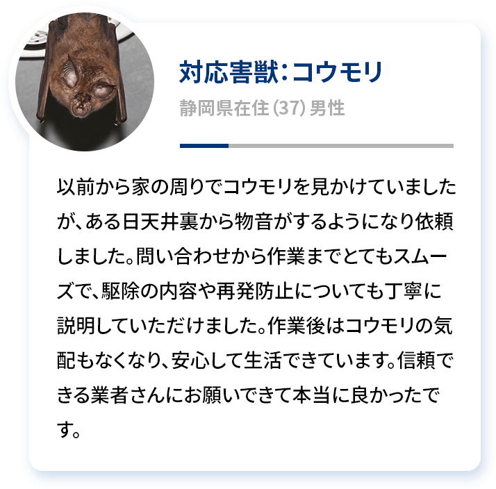 対応害獣：コウモリ 静岡県在住（37）男性