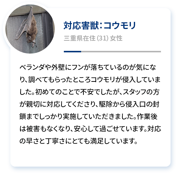 対応害獣：コウモリ 三重県在住（31）女性