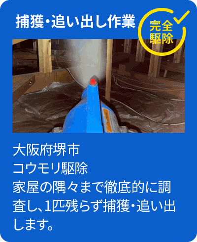 捕獲・追い出し作業
