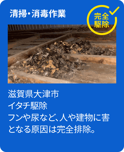 清掃・消毒作業
