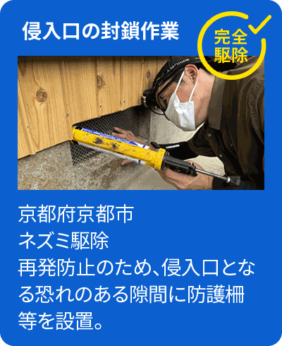 侵入口の封鎖作業