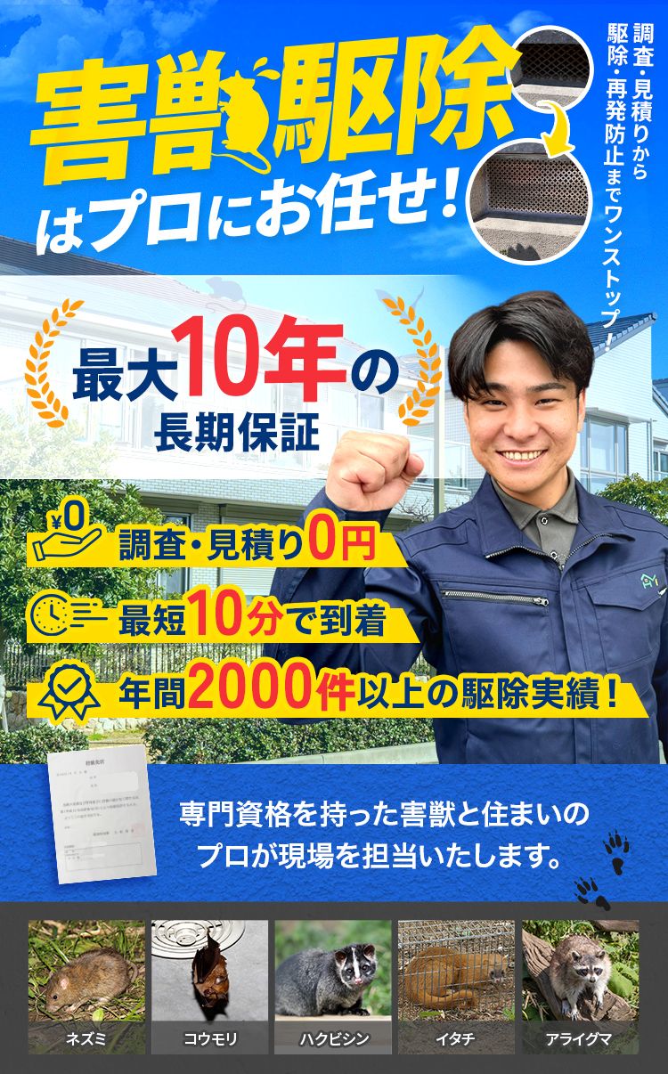害獣駆除はプロにお任せ！ 最大10年の長期保証 調査・見積り0円 最短10分で到着 年間2000件以上の駆除実績！ 対応害獣:ネズミ・イタチ・ハクビシン・タヌキ・コウモリ・アライグマ・アナグマ・テンなど