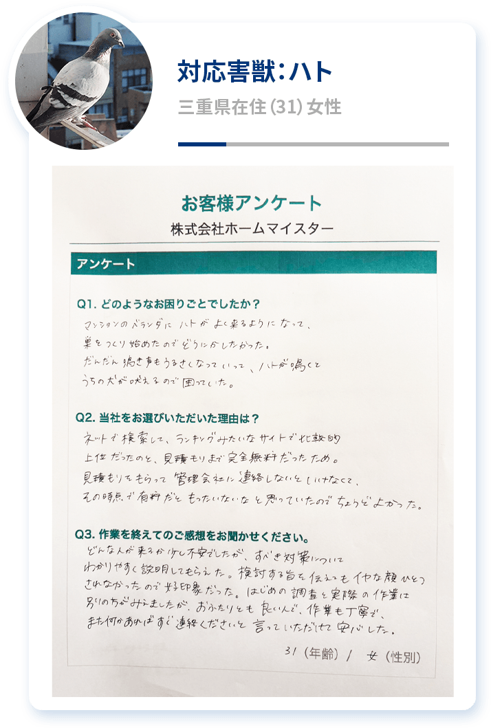 対応害獣：ハト 三重県在住（31）女性