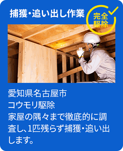 捕獲・追い出し作業