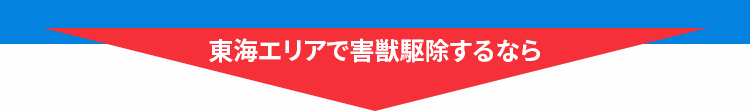 東海エリアで害獣駆除するなら 