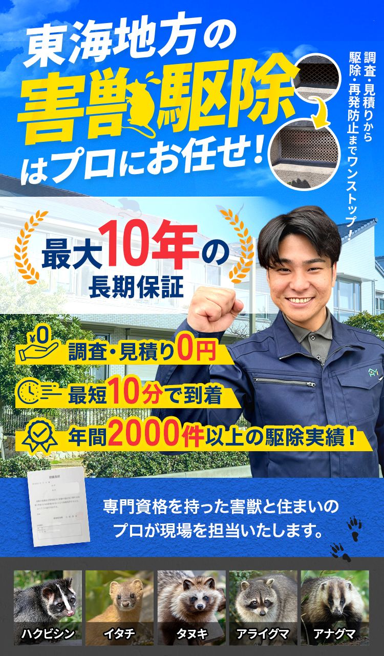 東海地方の害獣駆除はプロにお任せ! 最大10年の長期保証 調査・見積り0円 最短10分で到着 年間2000件以上の駆除実績! 対応害獣:ネズミ・イタチ・ハクビシン・タヌキ・コウモリ・アライグマ・アナグマ・テンなど