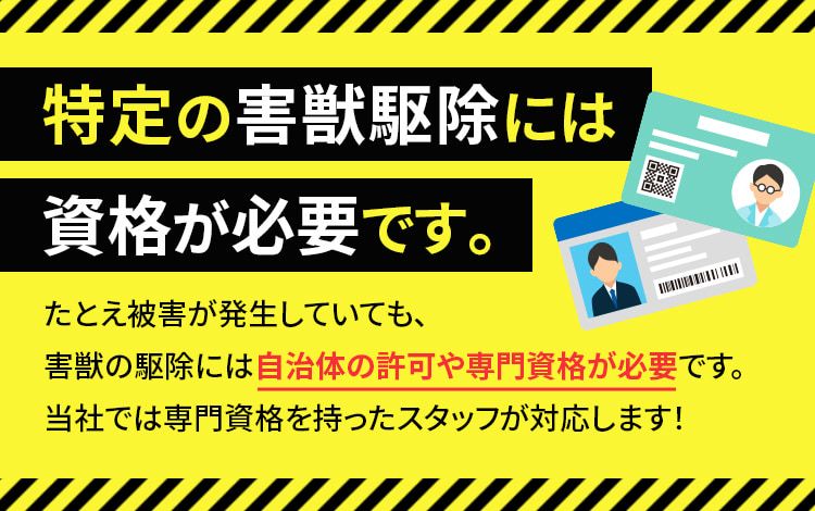 特定の害獣駆除には資格が必要です。たとえ被害が発生していても、害獣の駆除には自治体の許可や専門資格が必要です。当社では専門資格を持ったスタッフが対応します!