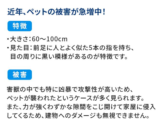 アライグマ被害状況/近年、ペットの被害が急増中!