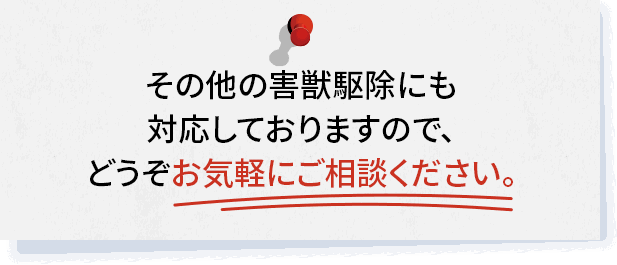 その他の害獣駆除にも対応しておりますので、どうぞお気軽にご相談ください。
