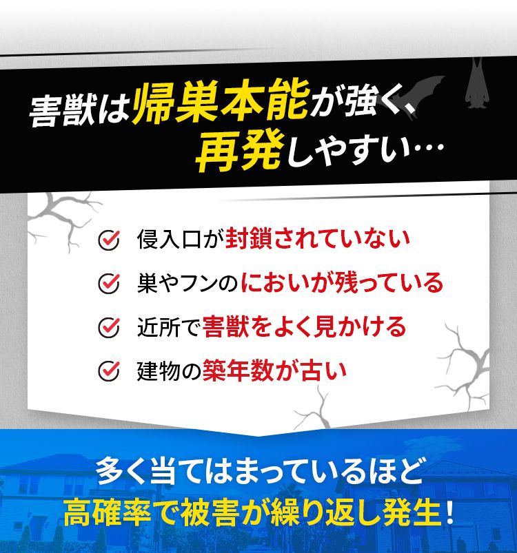 害獣は帰巣本能が強く、再発しやすい…☑侵入口が封鎖されていない☑巣やフンのにおいが残っている☑近所で害獣をよく見かける☑建物の築年数が古い 多く当てはまっているほど高確率で被害が繰り返し発生!
