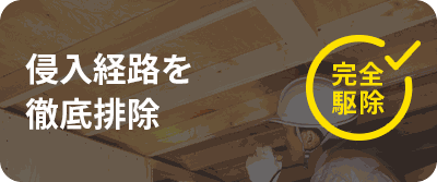 清掃・消毒作業