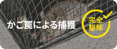 侵入口の封鎖作業