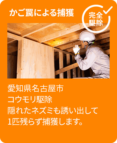 追い出し作業