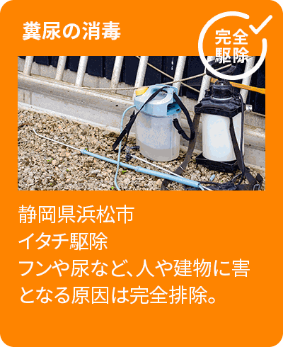 清掃・消毒作業