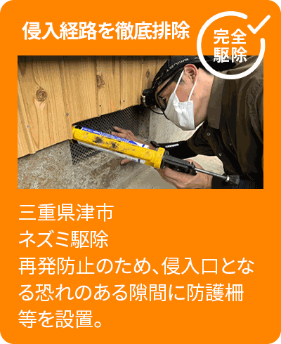 侵入口の封鎖作業