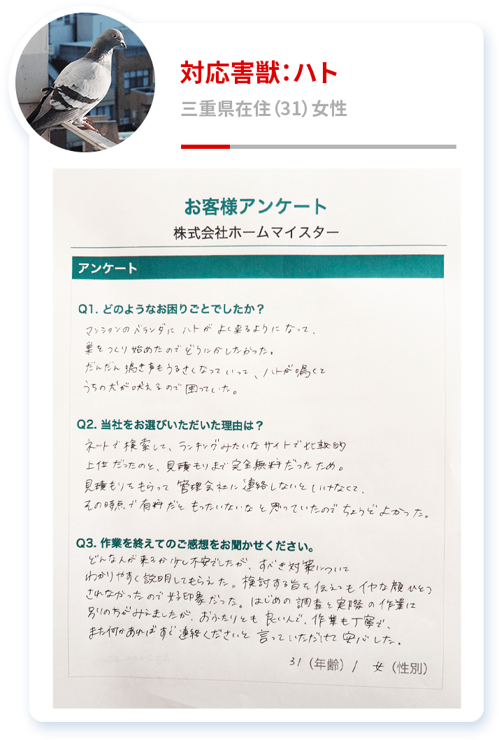 対応害獣：ハト 三重県在住（31）女性