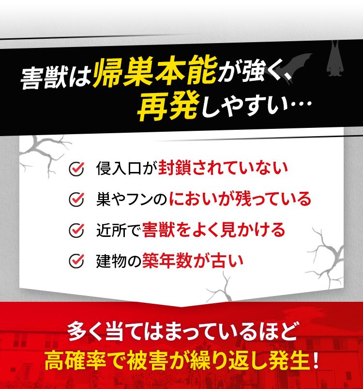 害獣は帰巣本能が強く、再発しやすい…☑侵入口が封鎖されていない☑巣やフンのにおいが残っている☑近所で害獣をよく見かける☑建物の築年数が古い 多く当てはまっているほど高確率で被害が繰り返し発生!