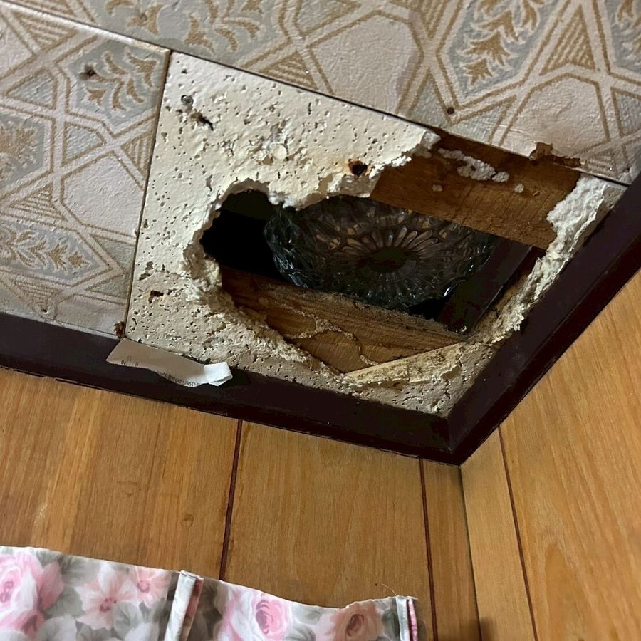 奈良市 ハクビシン駆除の施工写真1