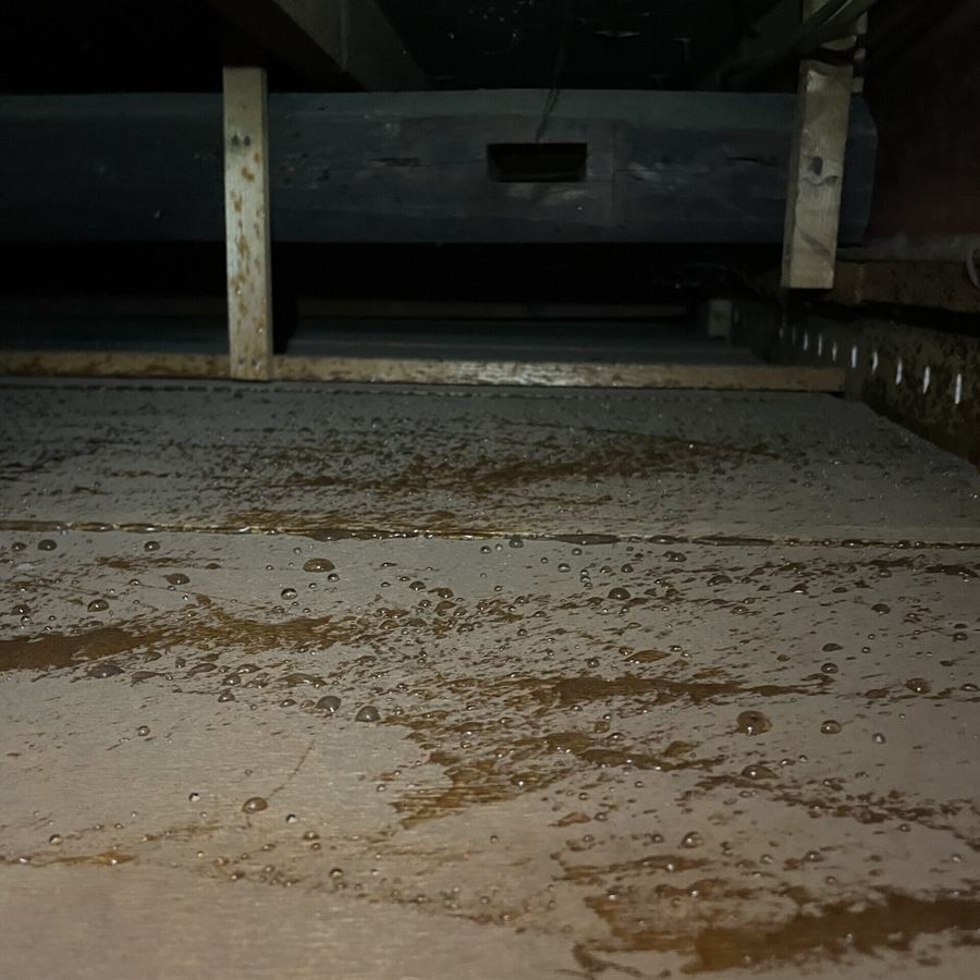 奈良市 ハクビシン駆除の施工写真3