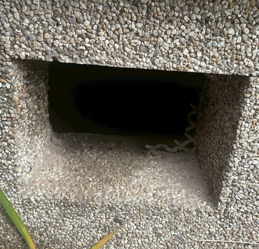 刈谷市 アライグマ駆除の施工写真