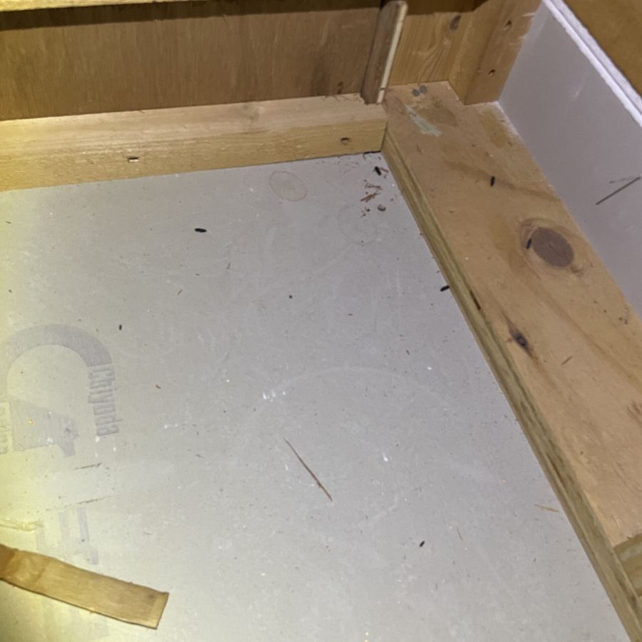 彦根市 ネズミ駆除の施工写真5