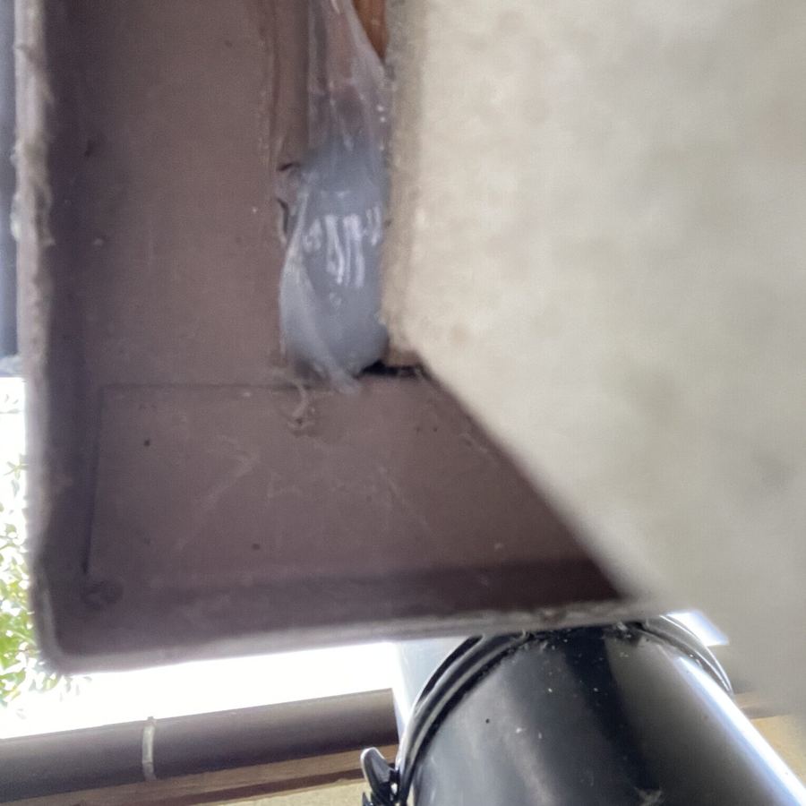 松阪市 ネズミ駆除の施工写真4