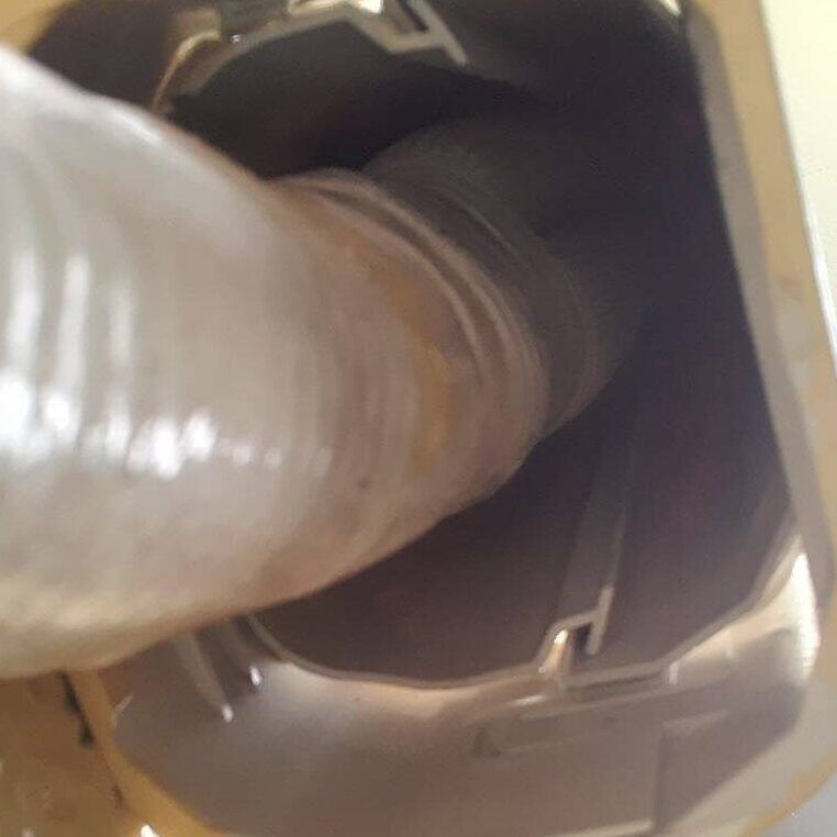 知多郡 ネズミ駆除の施工写真3