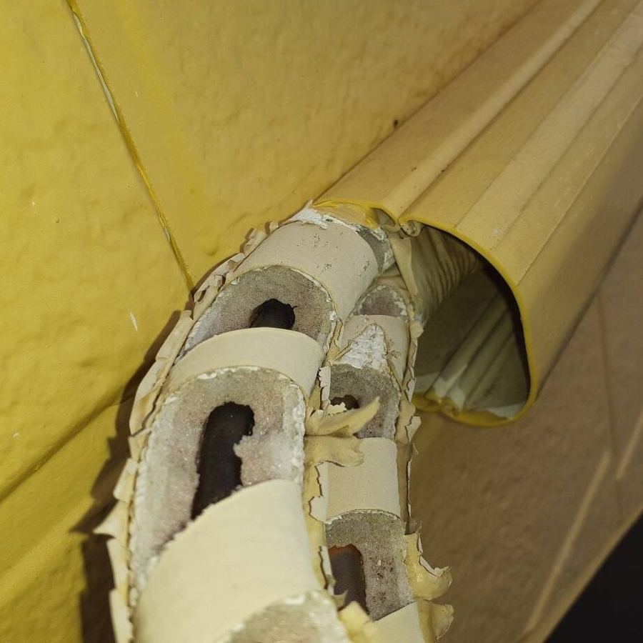 知多郡 ネズミ駆除の施工写真5
